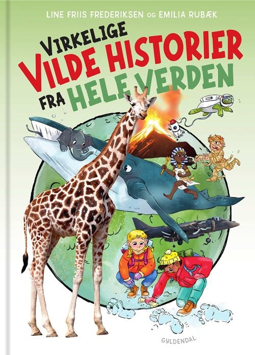 Forside billede